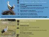 Finalmente è arrivato il Cicogna Days 2025: Riscopriamo la Biodiversità della Piana di Gela