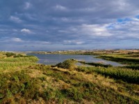 domenica 2 aprile TREKKING di primavera alla Riserva Biviere