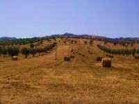 Gruppi di acquisto solidale in visita alla Riserva del Biviere
