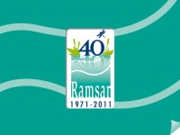 4-5 Febbraio 2012 – Giornata Mondiale delle Zone Umide Ramsar al Biviere di Gela