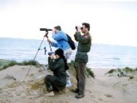 European birdwatch 2011 alla Riserva Biviere di Gela…e non solo!