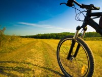A pedali nella Riserva del Biviere di Gela