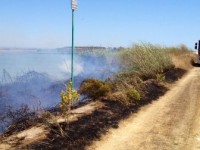 Fiamme alla riserva del Biviere