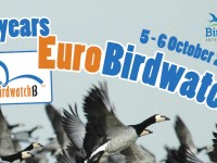 eurobirdwatch il 5 e 6 ottobre alla riserva naturale biviere di gela