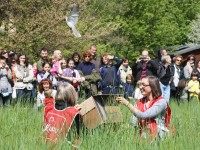 festa delle oasi e riserve LIPU: domenica 24 aprile stacca dal caos della città e porta chi ami al biviere di Gela