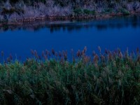 A novembre san martino, al biviere natura e vino !