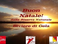 Santo Stefano con i tuoi alla Riserva Biviere di Gela