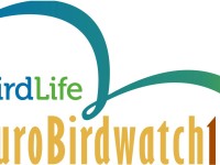 Eurobirdwatch,  3 e 4 ottobre festa della migrazione alla riserva biviere di gela.