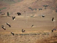 niente più scuse: valorizziamo le aree di rete natura 2000