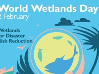 world wetlands day 2 febbraio 2017 – photo contest le zone umide nella piana di gela
