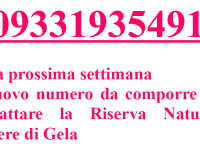comuinicazione di servizio