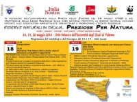 riserve naturali siciliane gestite dalle associazioni ambientaliste: risultati straordinari di conservazione della natura e difesa del territorio. ma la regione diserta l’appuntamento. gravissimo e irresponsabile. amareggiati dal disinteresse e preoccupati per la natura dell’isola.