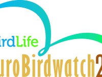 Eurobirdwatch 2021