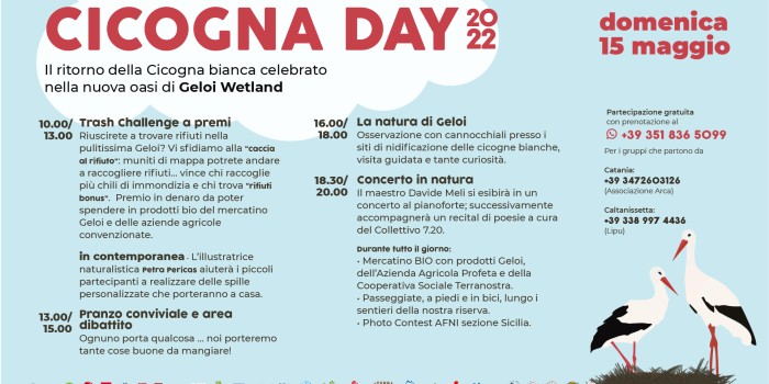 Cicogna Day: il ritorno della cicogna bianca celebrato nella nuova riserva naturale di Geloi Wetland