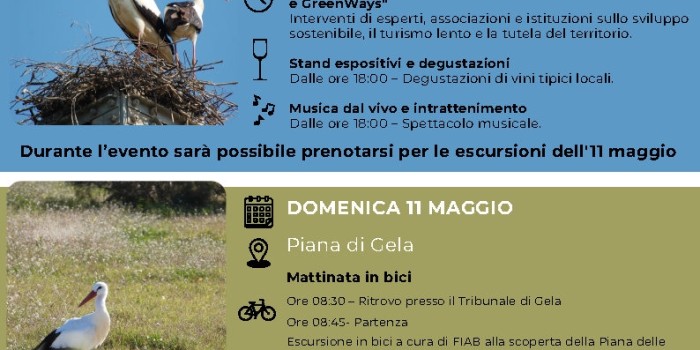 Finalmente è arrivato il Cicogna Days 2025: Riscopriamo la Biodiversità della Piana di Gela