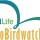 Eurobirdwatch,  3 e 4 ottobre festa della migrazione alla riserva biviere di gela.
