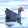 Riapre la Riserva Naturale del Biviere di Gela in occasione dell’Eurobirdwatch 2024