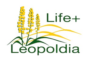 logo leopoldia